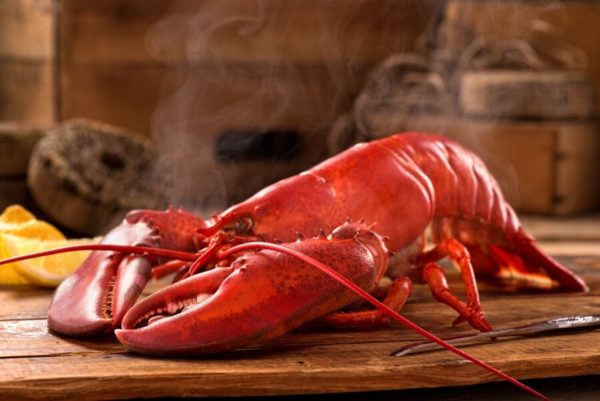 fresh-lobster-image