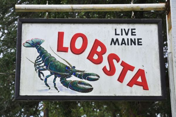 Live Maine Lobsta sign image
