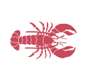 Rugosa Fresh Lobster